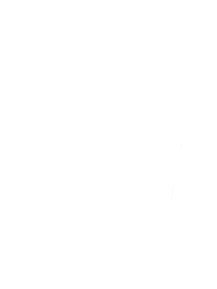 Watermark